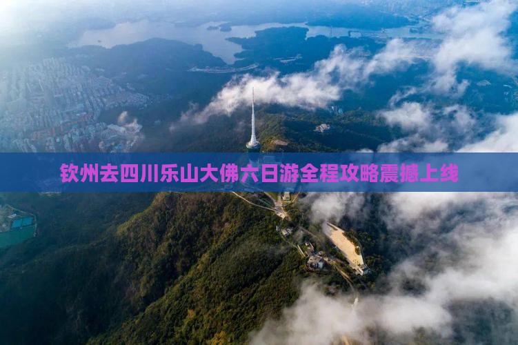 钦州去四川乐山大佛六日游