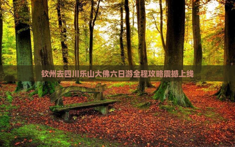 钦州去四川乐山大佛六日游