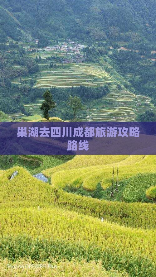 巢湖去四川成都旅游