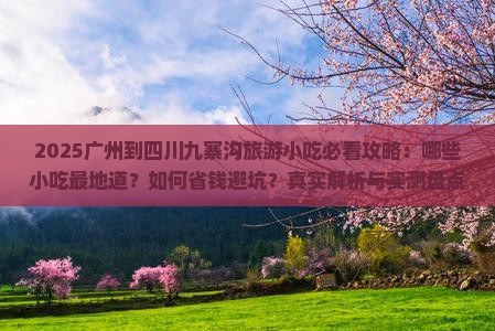 广州到四川九寨沟旅游小吃