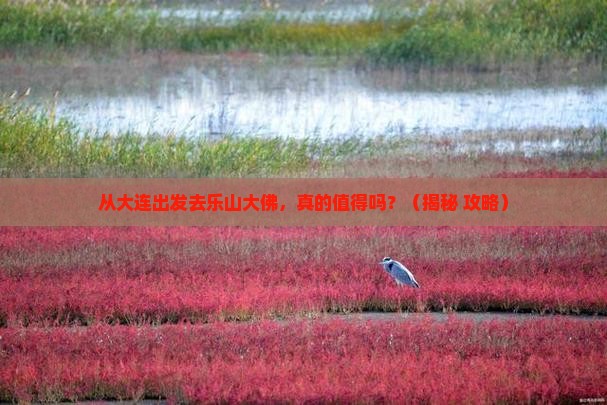 大连到四川乐山大佛景点