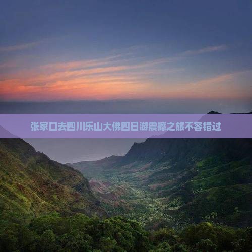 张家口去四川乐山大佛四日游