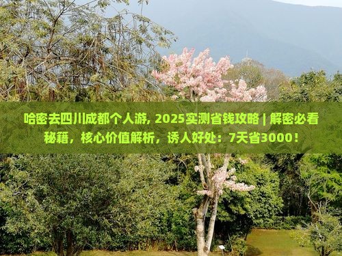 哈密去四川成都个人游