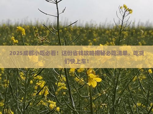 二月到四川成都旅游小吃