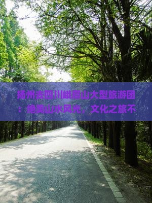 扬州去四川峨眉山大型旅游团