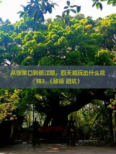 张家口去四川都江堰四日游