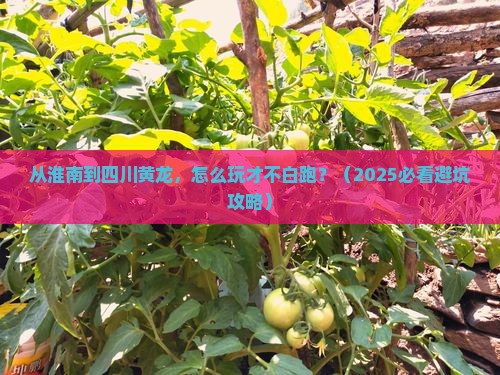 淮南到四川黄龙景点