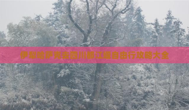 伊犁哈萨克去四川都江堰自由行