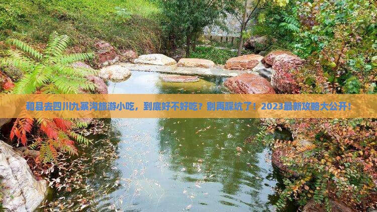 和县去四川九寨沟旅游小吃