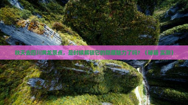 秋天去四川黄龙景点