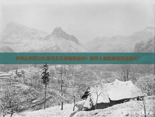 双鸭山到四川九寨沟五日游