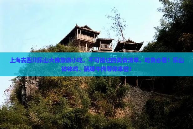 上海去四川乐山大佛旅游小吃
