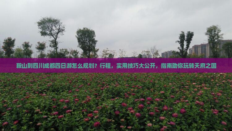 鞍山到四川成都四日游