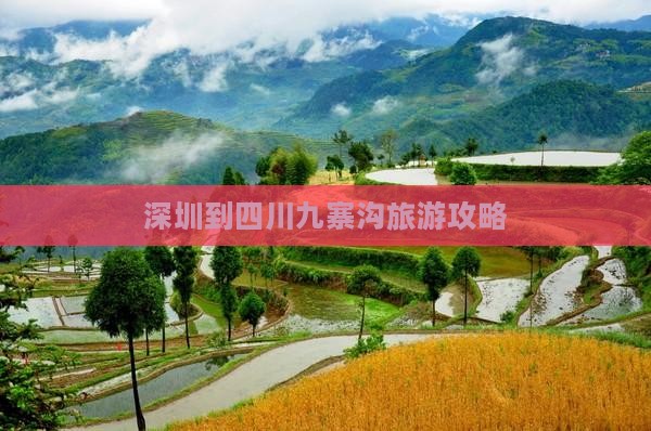 深圳到四川九寨沟个人游