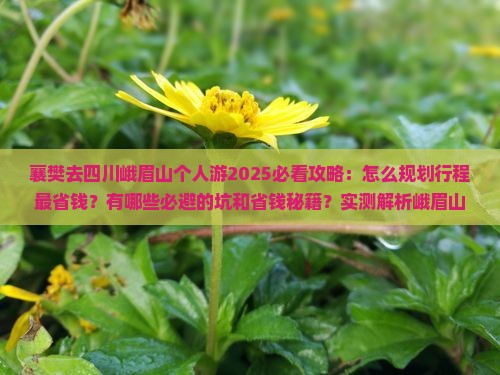 襄樊去四川峨眉山个人游