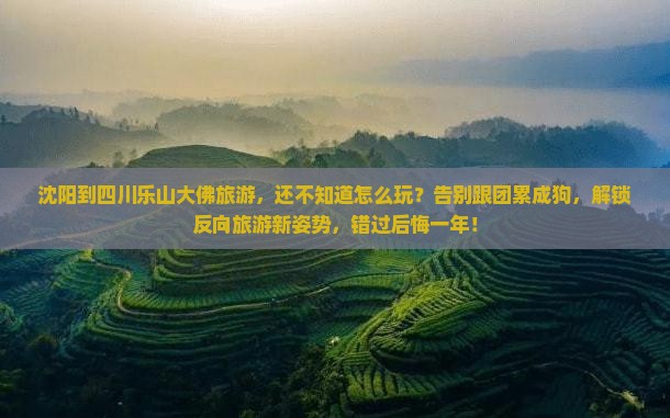 沈阳到四川乐山大佛旅游