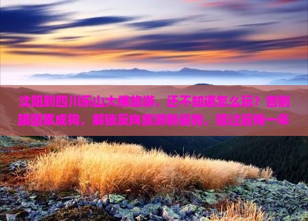 沈阳到四川乐山大佛旅游
