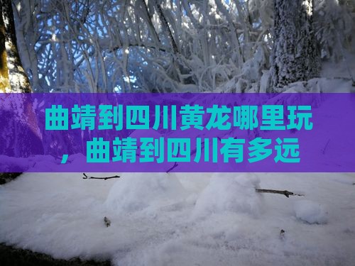 曲靖到四川黄龙哪里玩