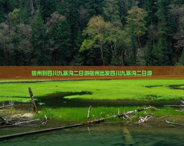 宿州到四川九寨沟二日游