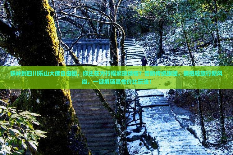 铁岭到四川乐山大佛自由团
