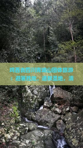 鸡西去四川青城山团体旅游