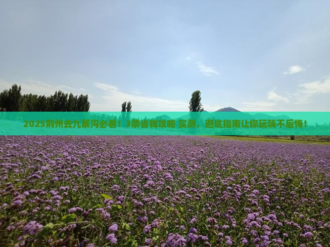 荆州到四川九寨沟旅行社
