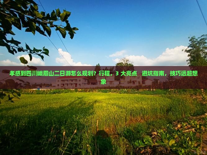孝感到四川峨眉山二日游