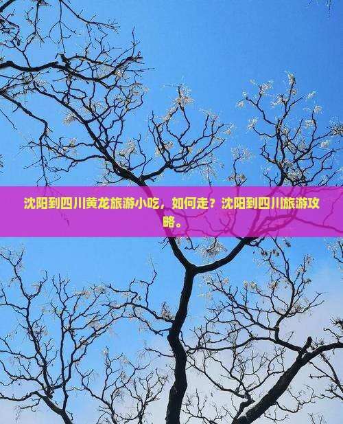 沈阳到四川黄龙旅游小吃