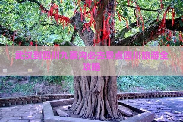 武汉到四川九寨沟必去景点四川旅游全攻略