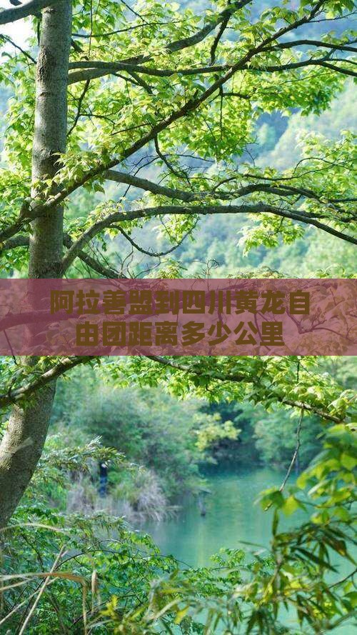 阿拉善盟到四川黄龙自由团距离多少公里
