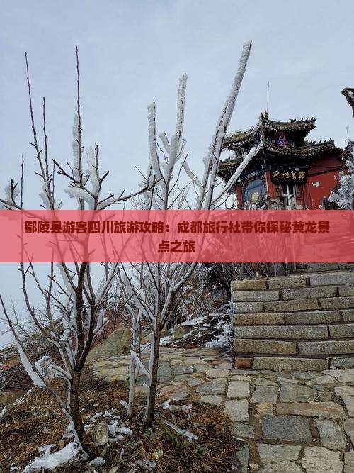 鄢陵县游客四川旅游攻略：成都旅行社带你探秘黄龙景点之旅
