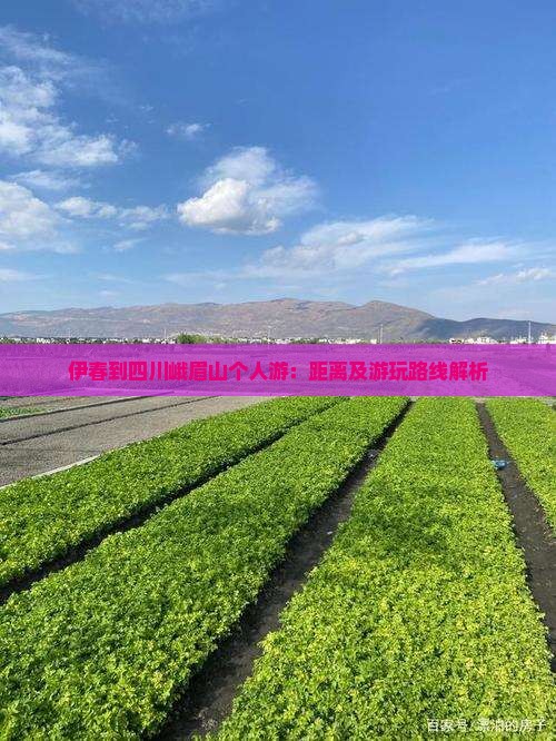 伊春到四川峨眉山个人游：距离及游玩路线解析
