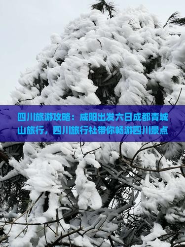 四川旅游攻略：咸阳出发六日成都青城山旅行，四川旅行社带你畅游四川景点