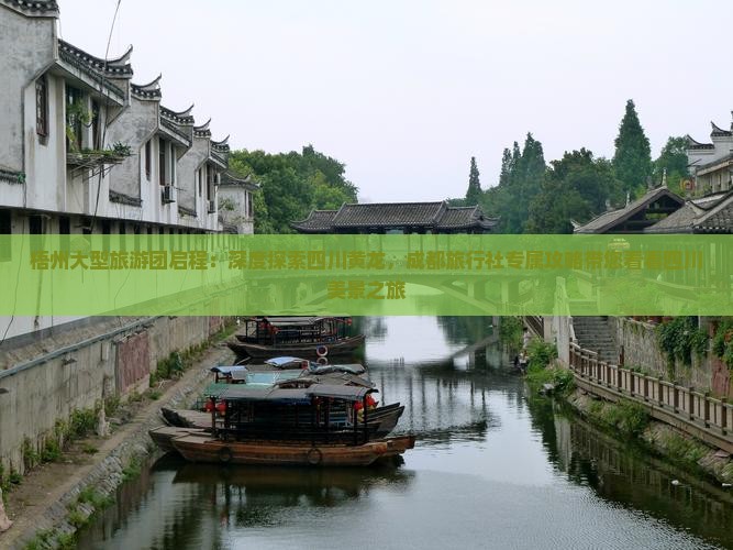 梧州大型旅游团启程：深度探索四川黄龙，成都旅行社专属攻略带您看看四川美景之旅