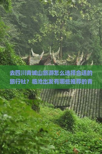 去四川青城山旅游怎么选择合适的旅行社？临沧出发有哪些推荐的青城山旅行线路？