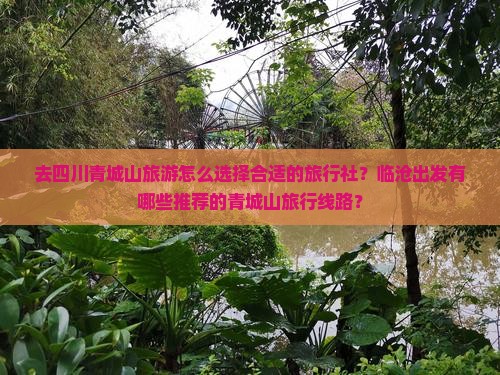 去四川青城山旅游怎么选择合适的旅行社？临沧出发有哪些推荐的青城山旅行线路？