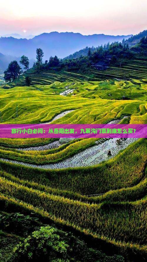 旅行小白必问：从岳阳出发，九寨沟门票到底怎么买？