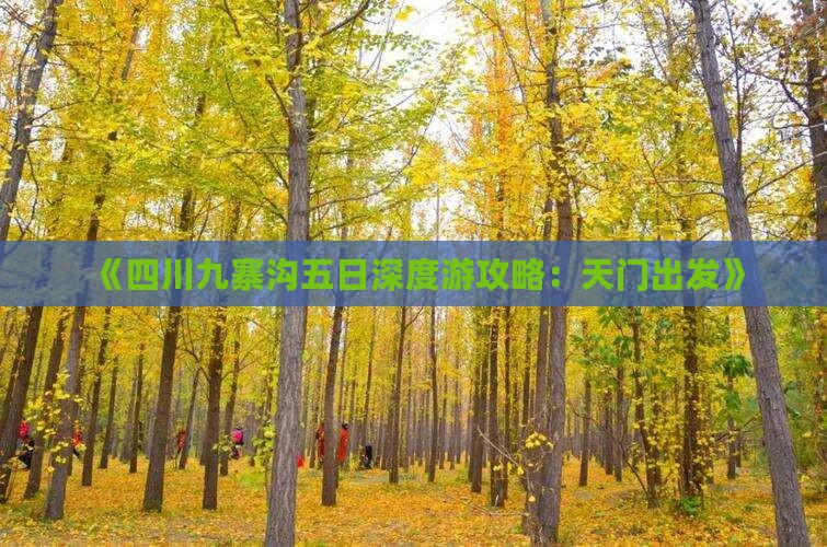 《四川九寨沟五日深度游攻略：天门出发》
