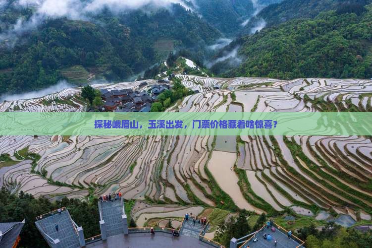 探秘峨眉山，玉溪出发，门票价格藏着啥惊喜？