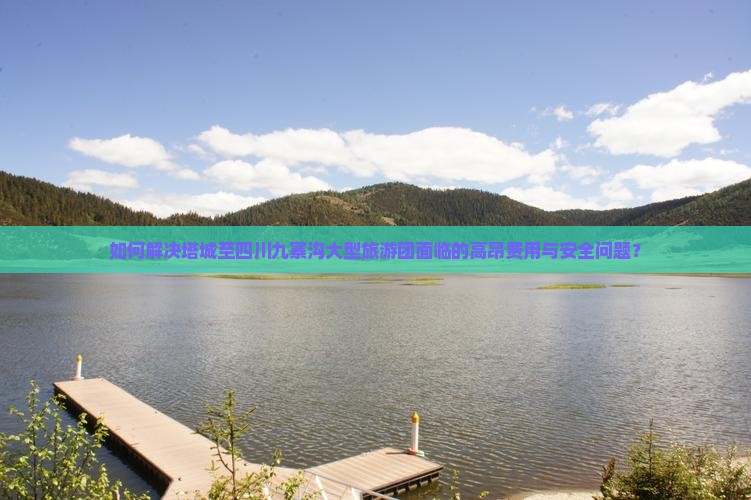 如何解决塔城至四川九寨沟大型旅游团面临的高昂费用与安全问题？