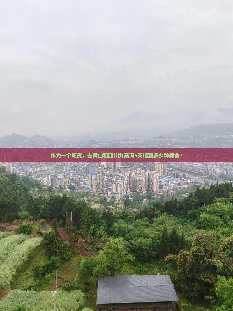 作为一个吃货，去黄山和四川九寨沟5天脑到多少种美食？