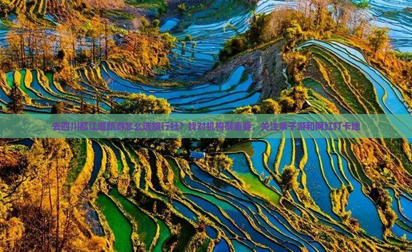 去四川都江堰旅游怎么选旅行社？找对机构很重要，关注亲子游和网红打卡地