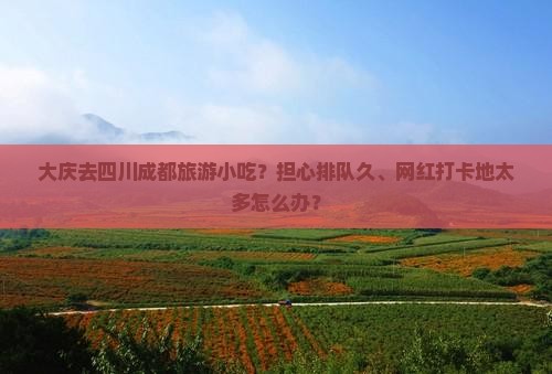 大庆去四川成都旅游小吃？担心排队久、网红打卡地太多怎么办？