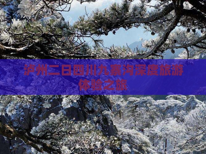 泸州二日四川九寨沟深度旅游体验之旅