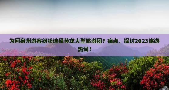 为何泉州游客纷纷选择黄龙大型旅游团？痛点，探讨2023旅游热词！