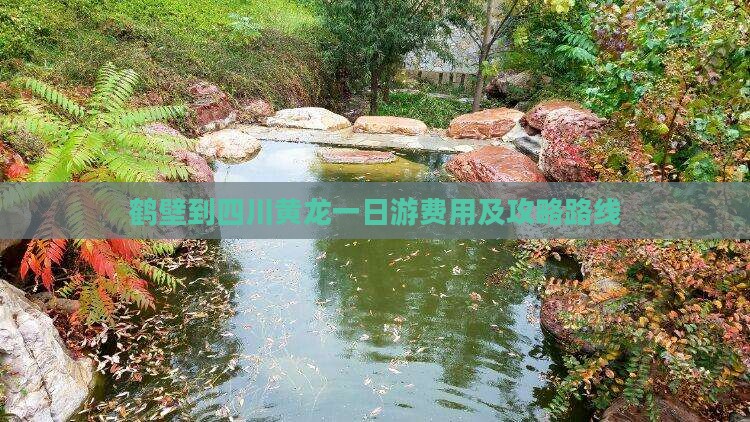 鹤壁到四川黄龙一日游费用及攻略路线
