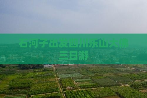 石河子出发四川乐山大佛三日游