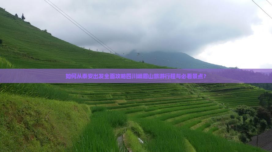 如何从泰安出发全面攻略四川峨眉山旅游行程与必看景点？