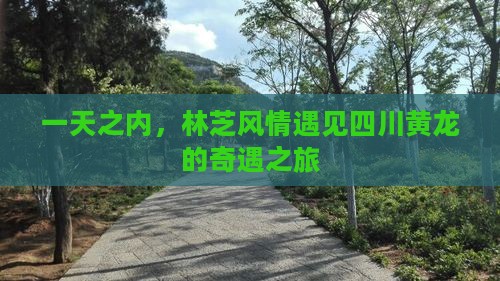 一天之内，林芝风情遇见四川黄龙的奇遇之旅