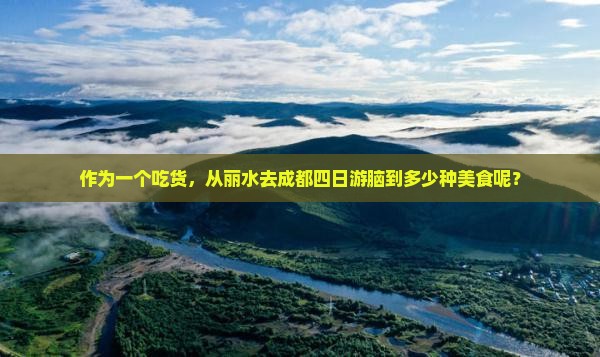 作为一个吃货，从丽水去成都四日游脑到多少种美食呢？